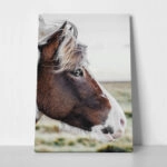 Πίνακας σε Καμβά RUSTIC FARMHOUSE HORSE 10