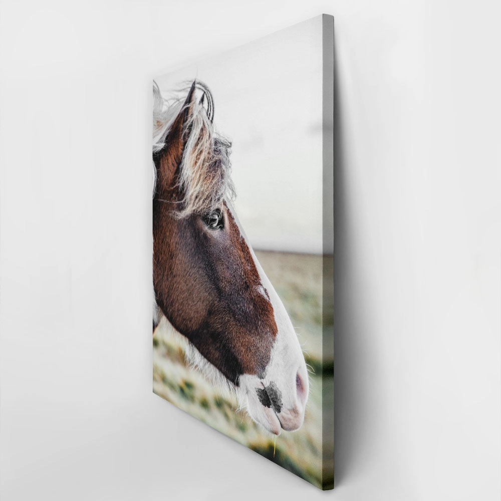 Πίνακας σε Καμβά RUSTIC FARMHOUSE HORSE 10