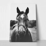 Πίνακας σε Καμβά RUSTIC FARMHOUSE HORSE 11