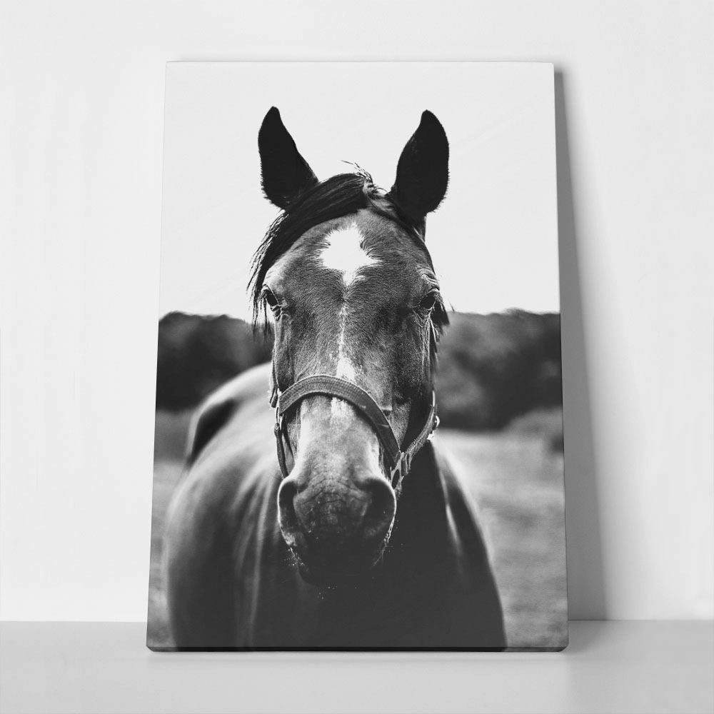 Πίνακας σε Καμβά RUSTIC FARMHOUSE HORSE 11