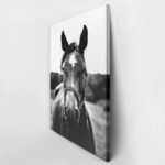 Πίνακας σε Καμβά RUSTIC FARMHOUSE HORSE 11