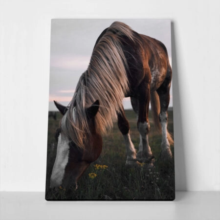 Πίνακας σε Καμβά RUSTIC FARMHOUSE HORSE 12