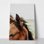 Πίνακας σε Καμβά RUSTIC FARMHOUSE HORSE 13