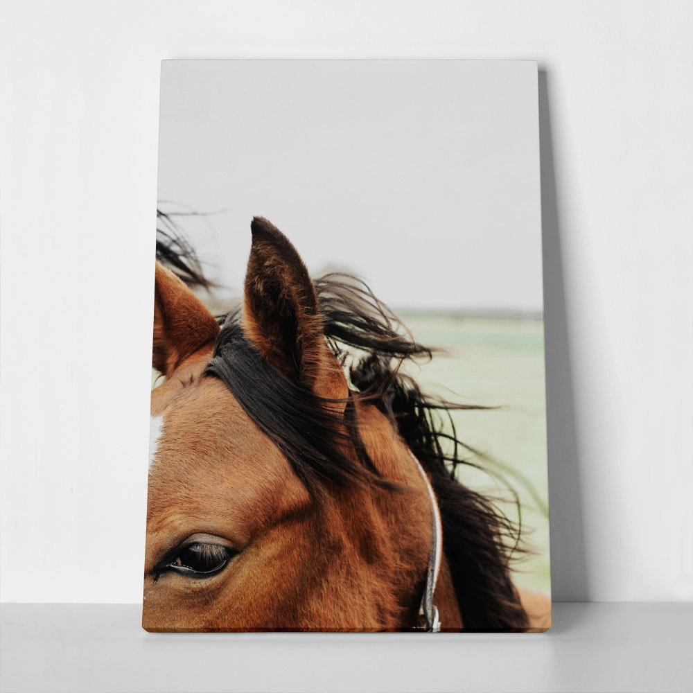 Πίνακας σε Καμβά RUSTIC FARMHOUSE HORSE 13
