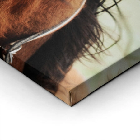 RUSTIC-FARMHOUSE-HORSE-13