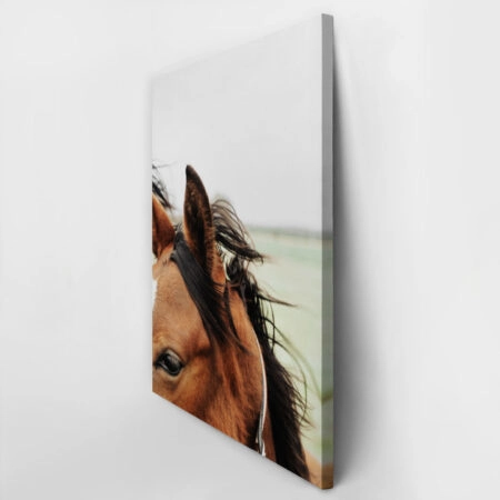 Πίνακας σε Καμβά RUSTIC FARMHOUSE HORSE 13 -  Sticky 2