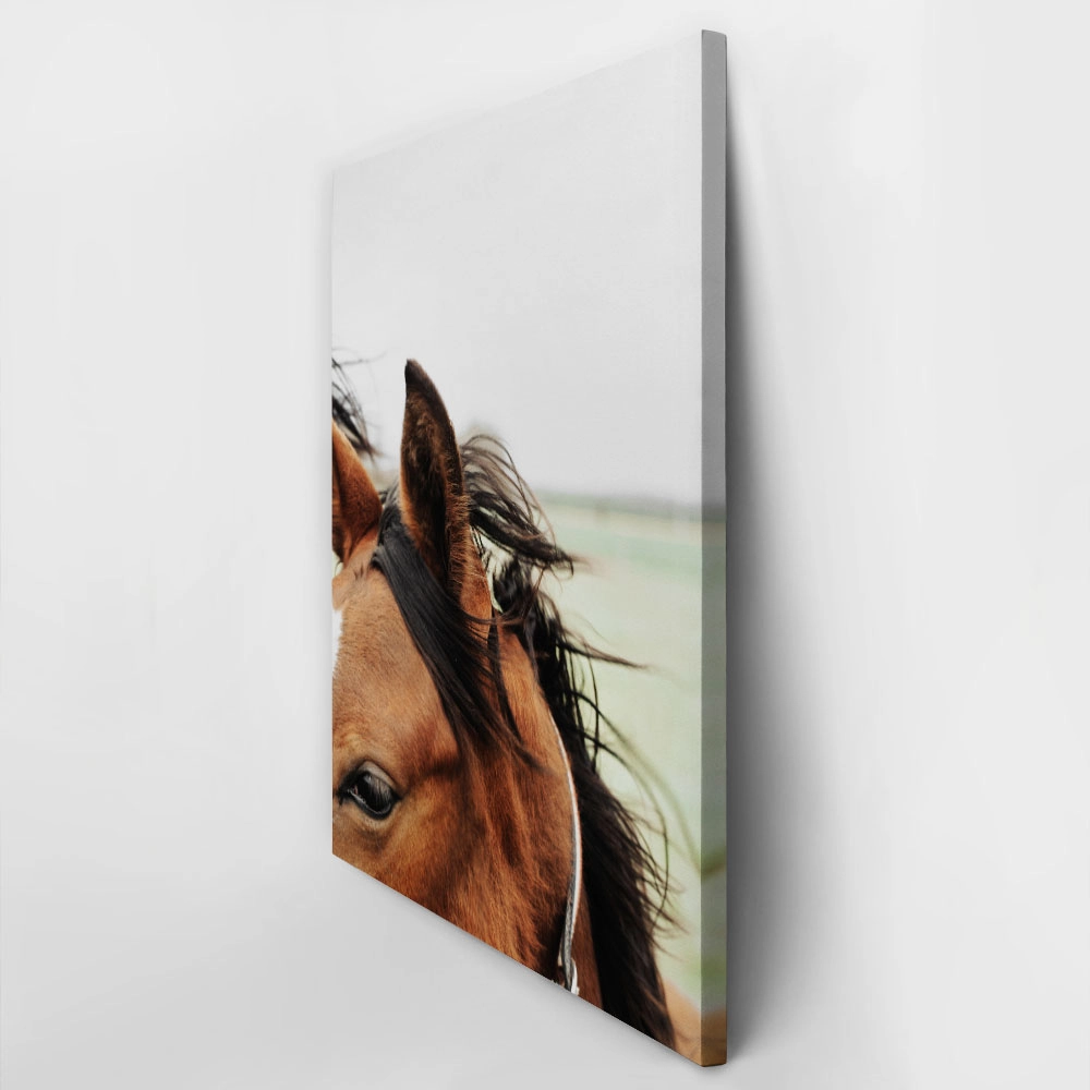 Πίνακας σε Καμβά RUSTIC FARMHOUSE HORSE 13