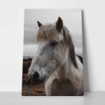 Πίνακας σε Καμβά RUSTIC FARMHOUSE HORSE 14
