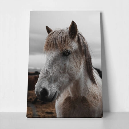 Πίνακας σε Καμβά RUSTIC FARMHOUSE HORSE 14