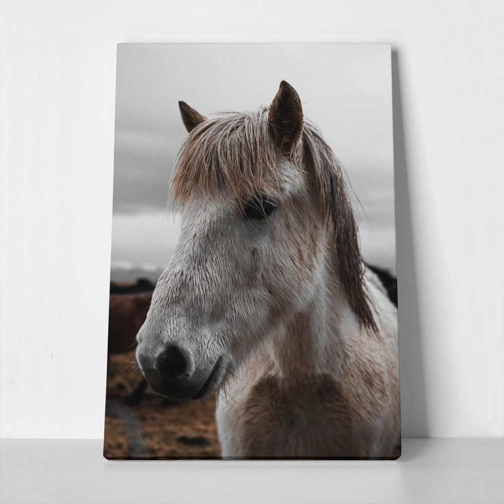 Πίνακας σε Καμβά RUSTIC FARMHOUSE HORSE 14