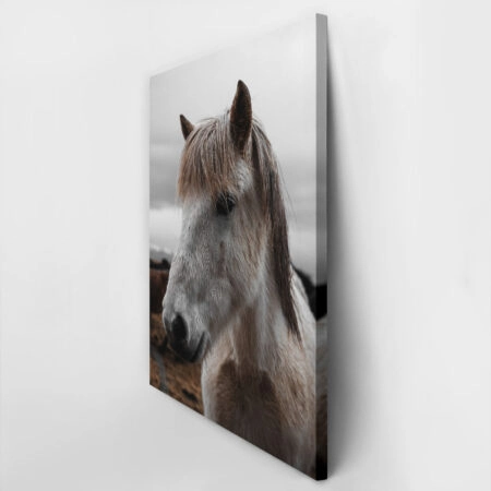 Πίνακας σε Καμβά RUSTIC FARMHOUSE HORSE 14 -  Sticky 2