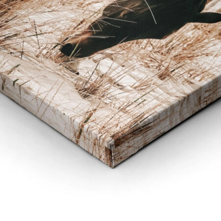 Πίνακας σε Καμβά RUSTIC FARMHOUSE HORSE 15 -  Sticky 1