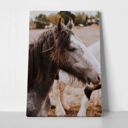 Πίνακας σε Καμβά RUSTIC FARMHOUSE HORSE 16 - 