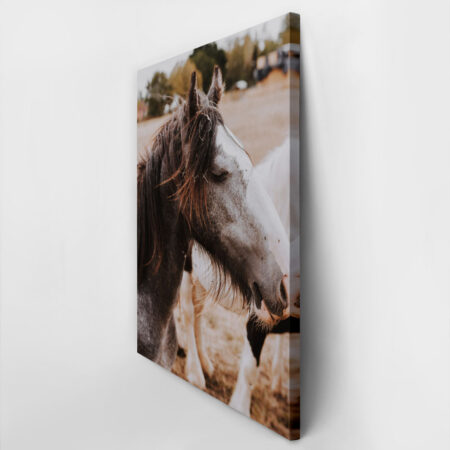 Πίνακας σε Καμβά RUSTIC FARMHOUSE HORSE 16 -  Sticky 2
