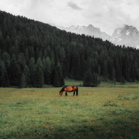 Πίνακας σε Καμβά RUSTIC FARMHOUSE HORSE 17 -  Sticky 5