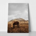 Πίνακας σε Καμβά RUSTIC FARMHOUSE HORSE 18
