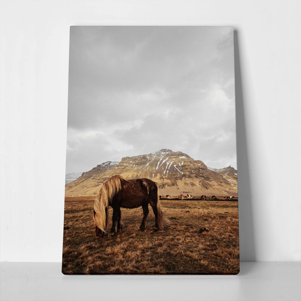 Πίνακας σε Καμβά RUSTIC FARMHOUSE HORSE 18