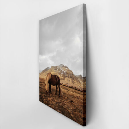 Πίνακας σε Καμβά RUSTIC FARMHOUSE HORSE 18 -  Sticky 2