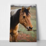 Πίνακας σε Καμβά RUSTIC FARMHOUSE HORSE 19