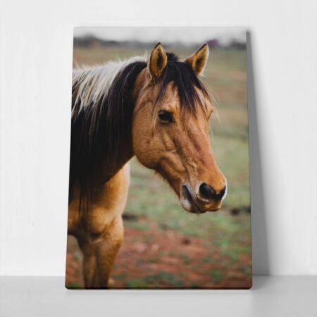 Πίνακας σε Καμβά RUSTIC FARMHOUSE HORSE 19 - 