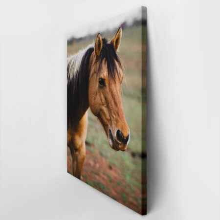 Πίνακας σε Καμβά RUSTIC FARMHOUSE HORSE 19 -  Sticky 2