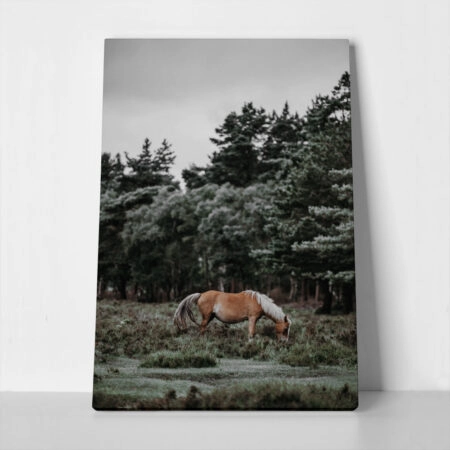 Πίνακας σε Καμβά RUSTIC FARMHOUSE HORSE 2 - 
