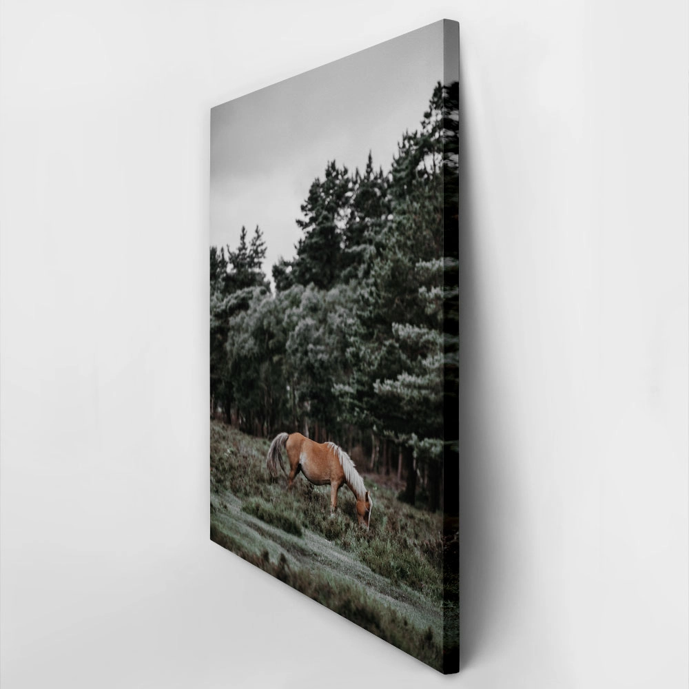 Πίνακας σε Καμβά RUSTIC FARMHOUSE HORSE 2