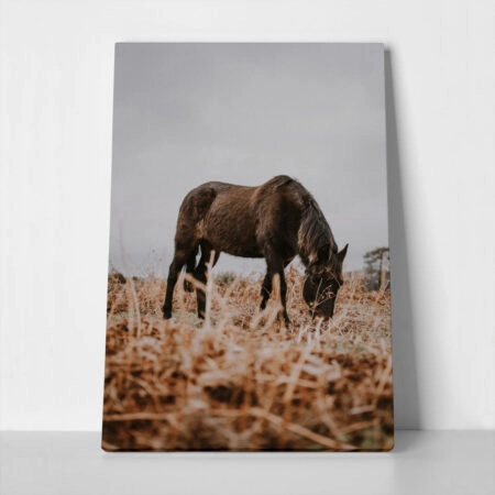 Πίνακας σε Καμβά RUSTIC FARMHOUSE HORSE 3 - 