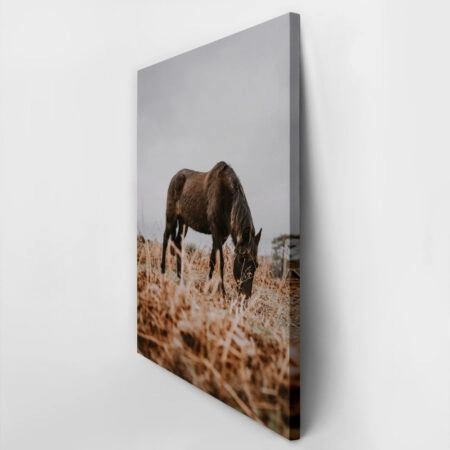 Πίνακας σε Καμβά RUSTIC FARMHOUSE HORSE 3 -  Sticky 2