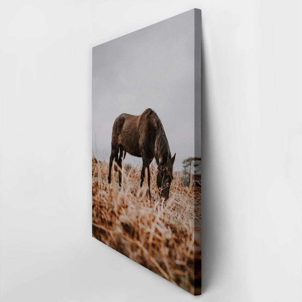 Πίνακας σε Καμβά RUSTIC FARMHOUSE HORSE 3