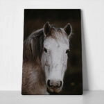 Πίνακας σε Καμβά RUSTIC FARMHOUSE HORSE 4