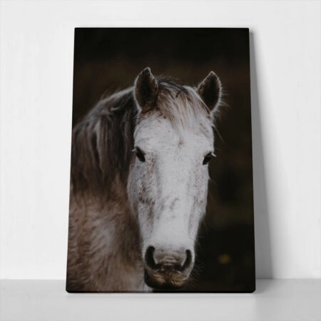 Πίνακας σε Καμβά RUSTIC FARMHOUSE HORSE 4 - 