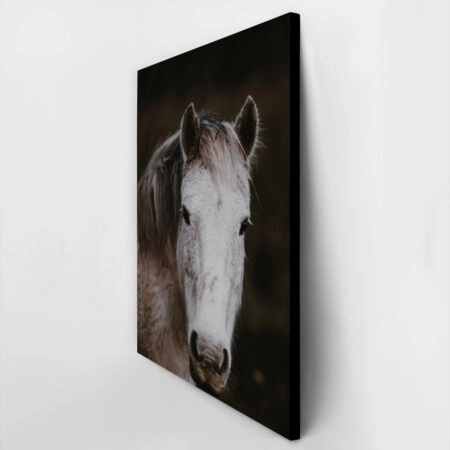 Πίνακας σε Καμβά RUSTIC FARMHOUSE HORSE 4 -  Sticky 2