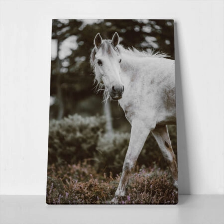 Πίνακας σε Καμβά RUSTIC FARMHOUSE HORSE 5 - 