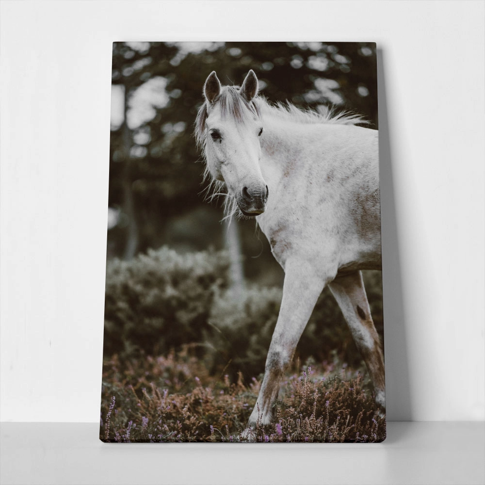 Πίνακας σε Καμβά RUSTIC FARMHOUSE HORSE 5