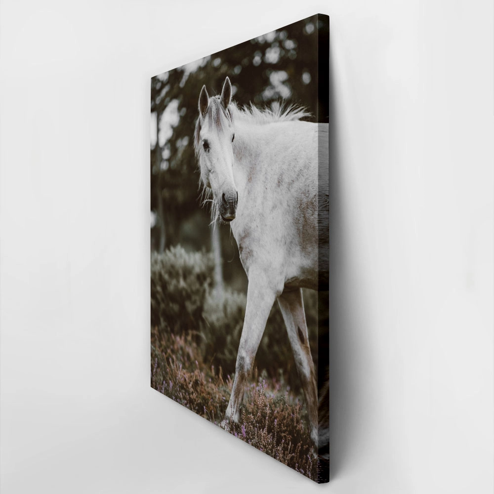 Πίνακας σε Καμβά RUSTIC FARMHOUSE HORSE 5