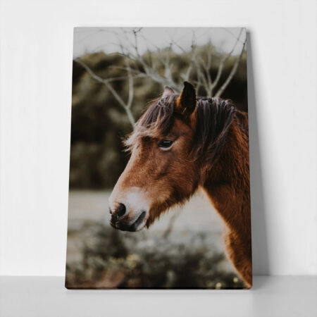 Πίνακας σε Καμβά RUSTIC FARMHOUSE HORSE 6 - 