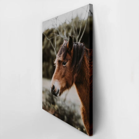 Πίνακας σε Καμβά RUSTIC FARMHOUSE HORSE 6 -  Sticky 2