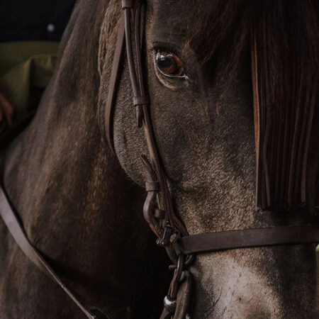 Πίνακας σε Καμβά RUSTIC FARMHOUSE HORSE 7 -  Sticky 5