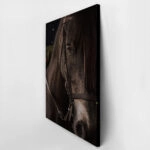 Πίνακας σε Καμβά RUSTIC FARMHOUSE HORSE 7