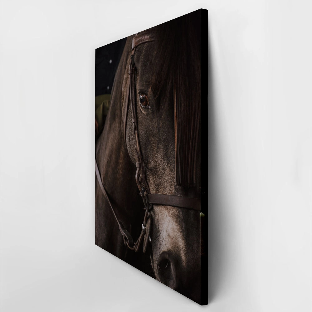 Πίνακας σε Καμβά RUSTIC FARMHOUSE HORSE 7