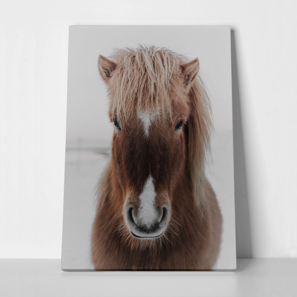 Πίνακας σε Καμβά RUSTIC FARMHOUSE HORSE 8