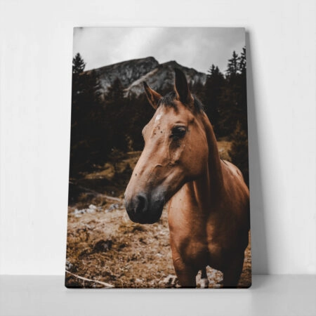 Πίνακας σε Καμβά RUSTIC FARMHOUSE HORSE 9