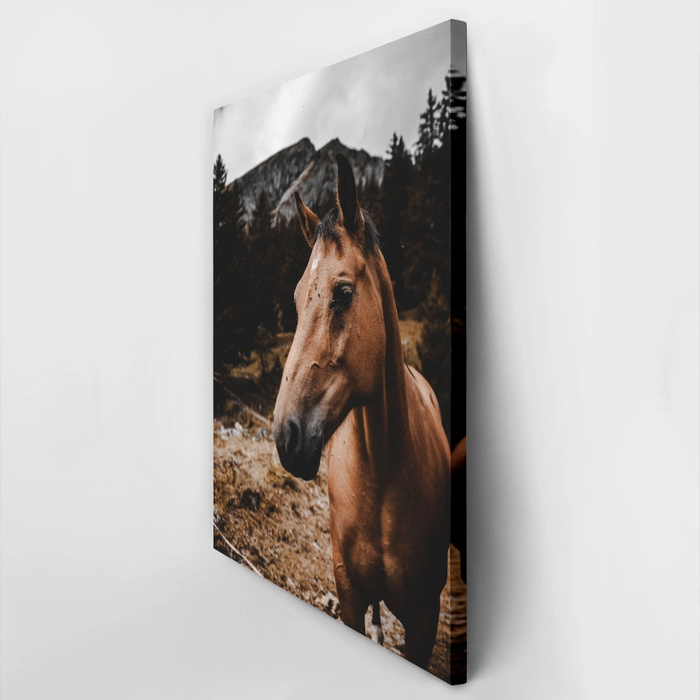 Πίνακας σε Καμβά RUSTIC FARMHOUSE HORSE 9
