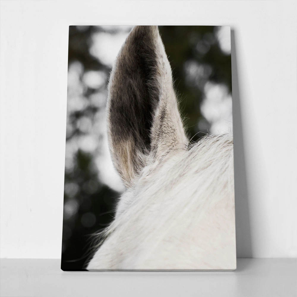 Πίνακας σε Καμβά RUSTIC FARMHOUSE HORSE EAR