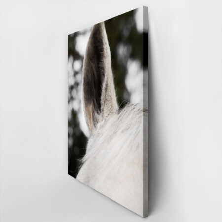 Πίνακας σε Καμβά RUSTIC FARMHOUSE HORSE EAR -  Sticky 2