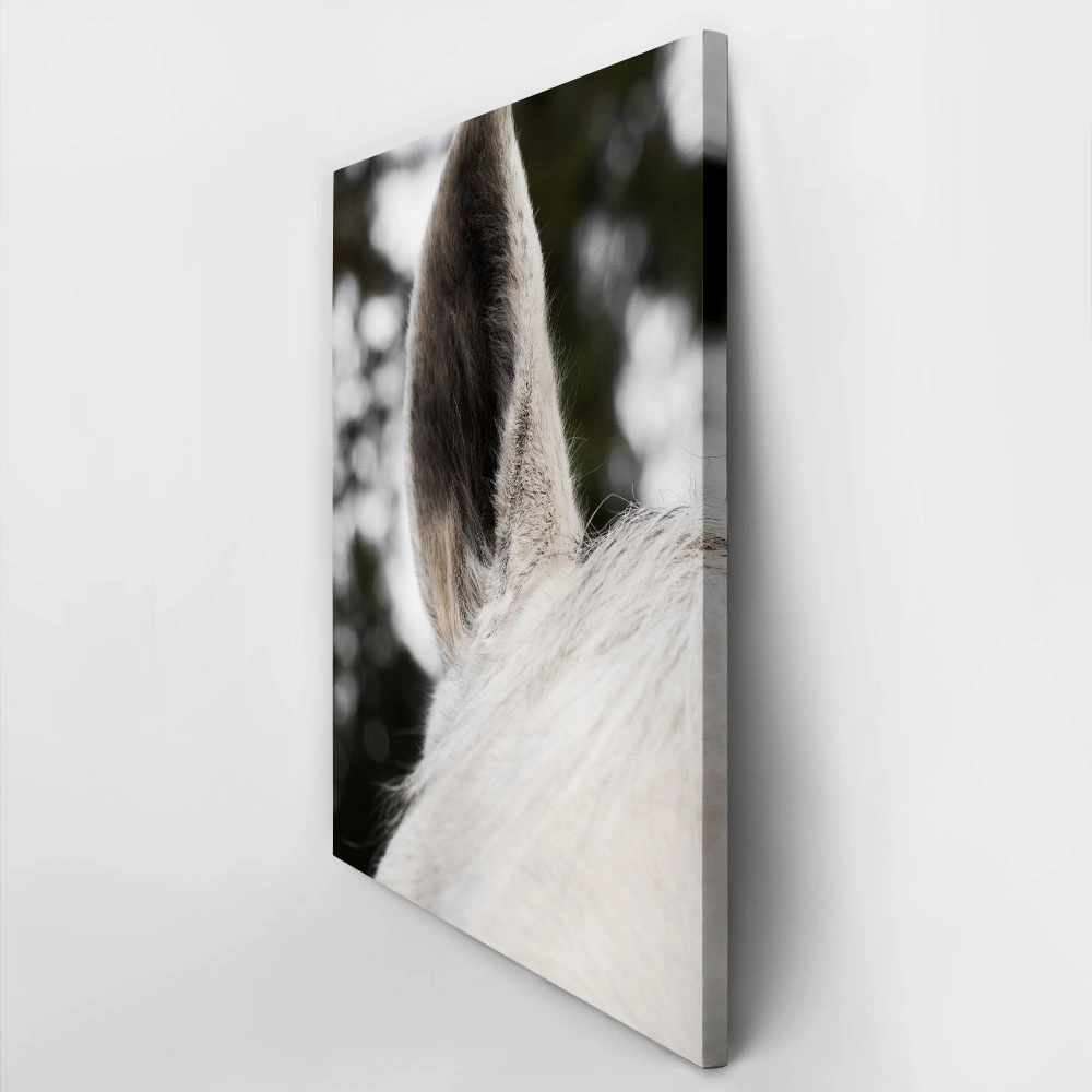 Πίνακας σε Καμβά RUSTIC FARMHOUSE HORSE EAR