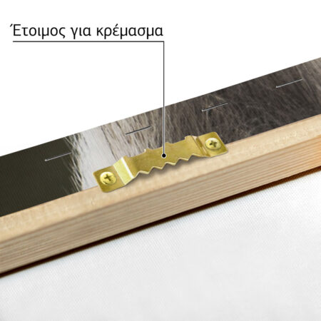 Πίνακας σε Καμβά RUSTIC FARMHOUSE HORSE EAR -  Sticky 4