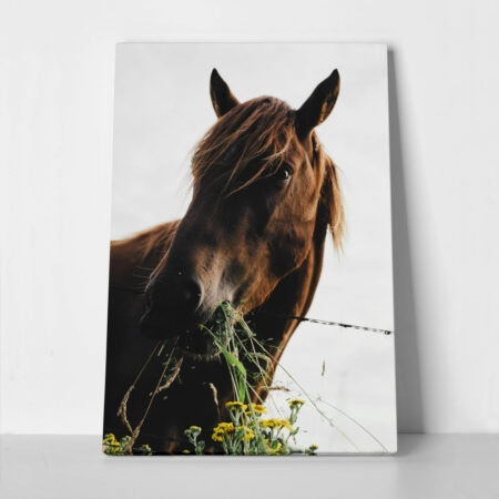 Πίνακας σε Καμβά RUSTIC FARMHOUSE HORSE EATING 2 - 
