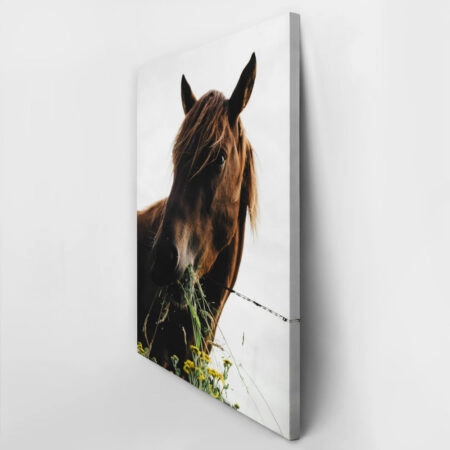 Πίνακας σε Καμβά RUSTIC FARMHOUSE HORSE EATING 2 -  Sticky 2